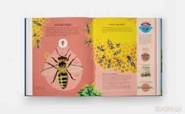 Nature's Tiny Champions: The Big Book of Little Creatures Doing Mighty Things [KSIĄŻKA]