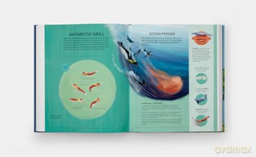 Nature's Tiny Champions: The Big Book of Little Creatures Doing Mighty Things [KSIĄŻKA]