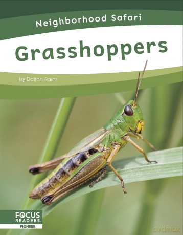 Neighborhood Safari: Grasshoppers [KSIĄŻKA]