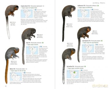 Neotropical primates [KSIĄŻKA]