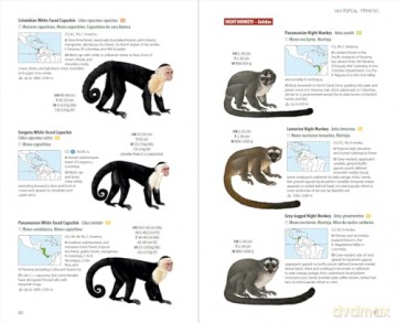 Neotropical primates [KSIĄŻKA]