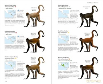 Neotropical primates [KSIĄŻKA]