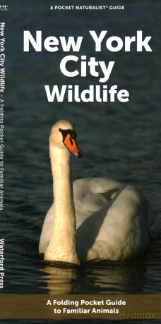 New York City Wildlife: A Folding Pocket Guide to Familiar Animals [KSIĄŻKA]