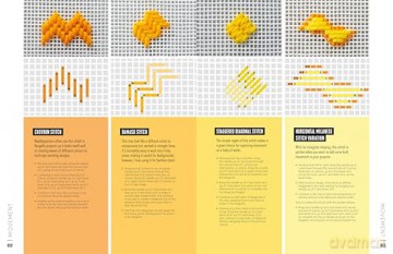 Next-Level Needlepoint: Over 100 skill-building stitches and techniques for modern tapestry embroidery [KSIĄŻKA]