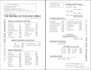 NIrV, Outreach Bible, Paperback, Blue: New International Readers Version, Blue [KSIĄŻKA]