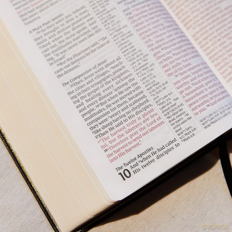 NKJV Holy Bible, Giant Print Center-Column Reference Bible, Black Leather-look, 72,000+ Cross References, Red Letter, Comfort Print: New King James Version [KSIĄŻKA]
