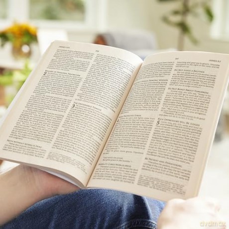NKJV Large Print Outreach New Testament Bible, Scenic Softcover, Comfort Print: New King James Version Outreach New Testament, Comfort Print [KSIĄŻKA]