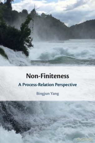 Non-Finiteness: A Process-Relation Perspective [KSIĄŻKA]