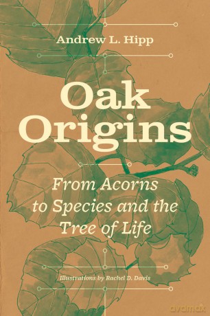 Oak Origins: From Acorns to Species and the Tree of Life [KSIĄŻKA]
