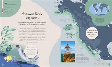 Ocean: Dive in and Discover the World Beneath the Waves [KSIĄŻKA]