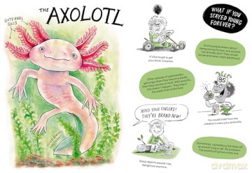 Oddballs [KSIĄŻKA]