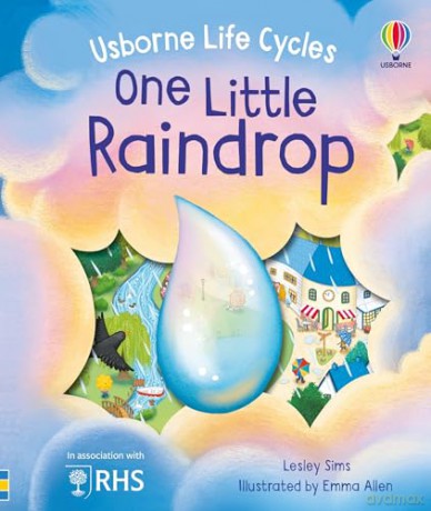 One Little Raindrop [KSIĄŻKA]