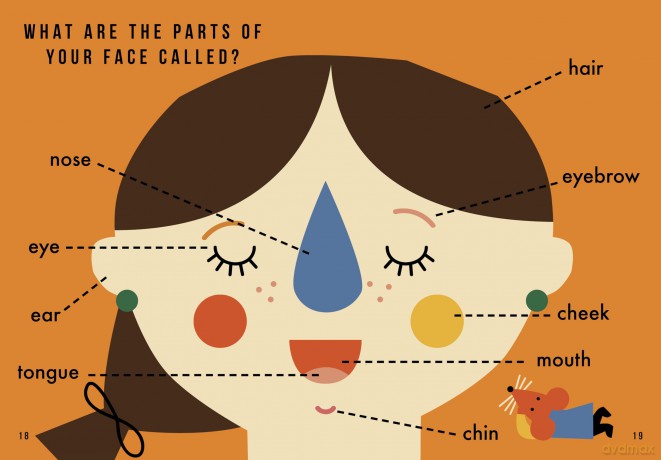 One Thousand Things: Learn your first words with Little Mouse [KSIĄŻKA]