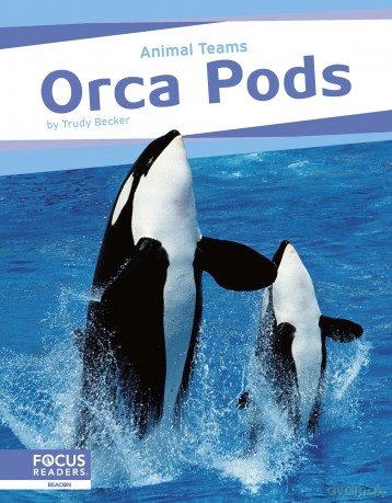 Orca Pods [KSIĄŻKA]