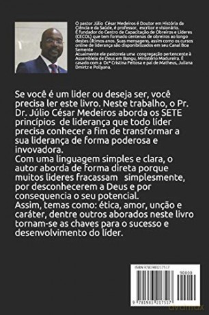 Os 7 princípios da Liderança:: Atitudes e comportamentos que todo líder precisa conhecer [KSIĄŻKA]