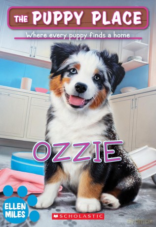 Ozzie [KSIĄŻKA]