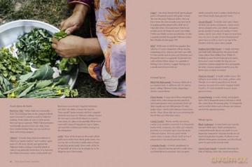 Pakistan: Recipes and Stories from Home Kitchens, Restaurants, and Roadside Stands [KSIĄŻKA]