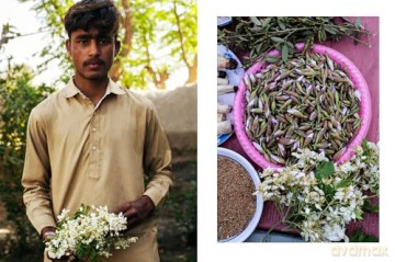 Pakistan: Recipes and Stories from Home Kitchens, Restaurants, and Roadside Stands [KSIĄŻKA]