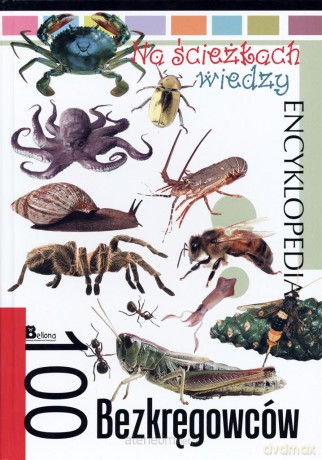 Na ścieżkach wiedzy. 100 bezkręgowców [KSIĄŻKA]