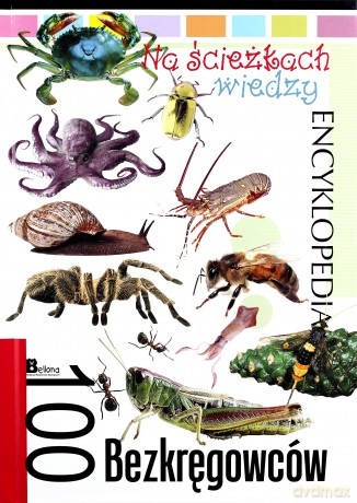 Na ścieżkach wiedzy. 100 bezkręgowców [KSIĄŻKA]