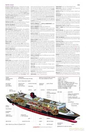 Petit Larousse illustré 2025 [KSIĄŻKA]