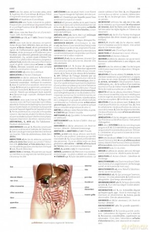 Petit Larousse illustré 2025 [KSIĄŻKA]