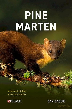 Pine Marten: The Secret Life of Martes martes [KSIĄŻKA]