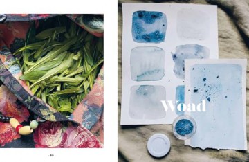 Plant and Ink: Make Your Own Plant-based Ink [KSIĄŻKA]