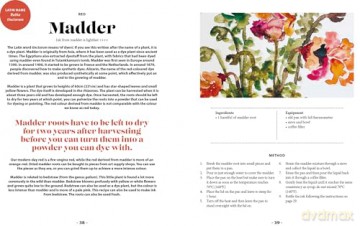 Plant and Ink: Make Your Own Plant-based Ink [KSIĄŻKA]