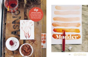 Plant and Ink: Make Your Own Plant-based Ink [KSIĄŻKA]