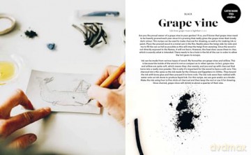 Plant and Ink: Make Your Own Plant-based Ink [KSIĄŻKA]