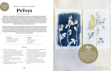 Plant and Ink: Make Your Own Plant-based Ink [KSIĄŻKA]