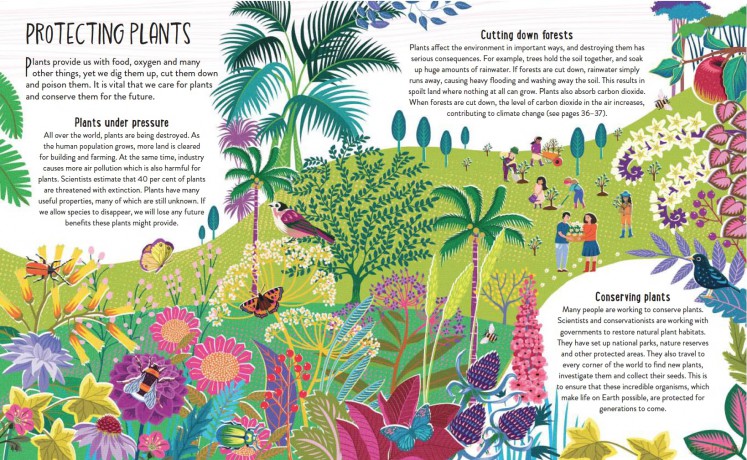 Plant Power: The Importance of Plants in our World [KSIĄŻKA]