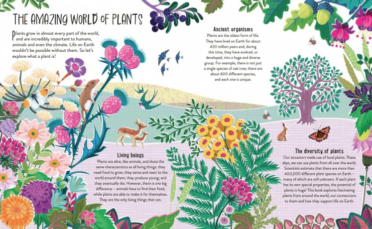 Plant Power: The Importance of Plants in our World [KSIĄŻKA]