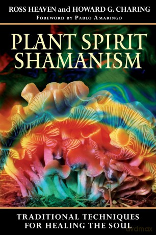 Plant Spirit Shamanism: Traditional Techniques for Healing the Soul [KSIĄŻKA]