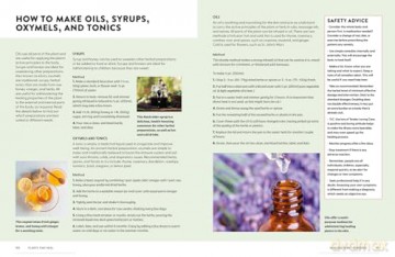 Plants That Heal: 200 Healing Plants and Home Remedies [KSIĄŻKA]