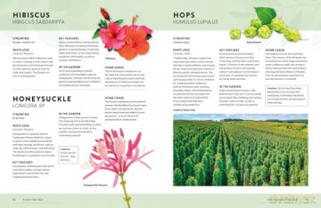 Plants That Heal: 200 Healing Plants and Home Remedies [KSIĄŻKA]