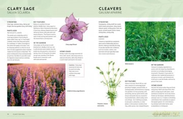 Plants That Heal: 200 Healing Plants and Home Remedies [KSIĄŻKA]