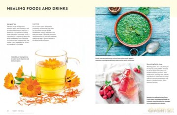 Plants That Heal: 200 Healing Plants and Home Remedies [KSIĄŻKA]