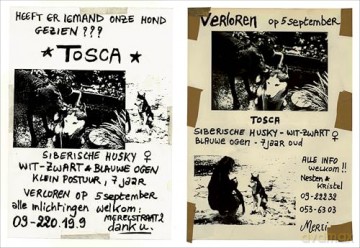 Please Look in the Basement: Maarten Inghels [KSIĄŻKA]