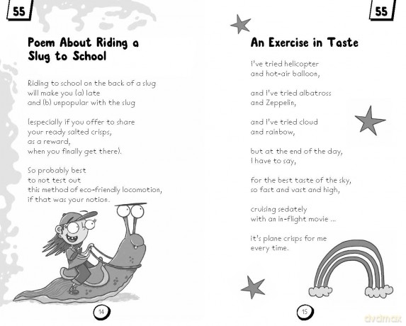 Pocket Book of Pocket Poems: Fun-filled poetry to carry with you everywhere [KSIĄŻKA]