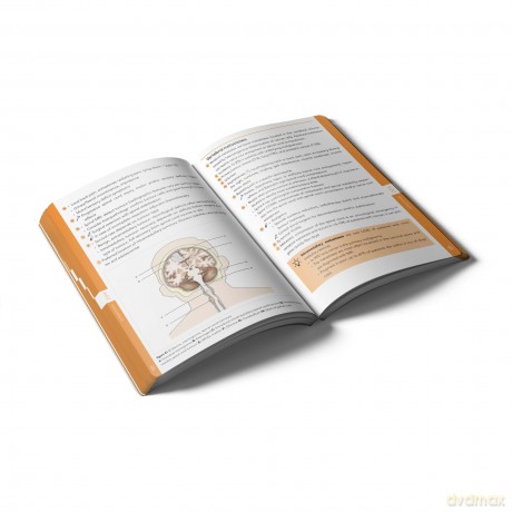 Pocket Neurology [KSIĄŻKA]
