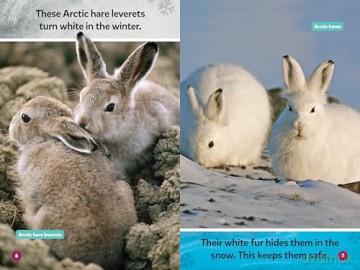 Polar Babies [KSIĄŻKA]