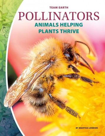 Pollinators [KSIĄŻKA]
