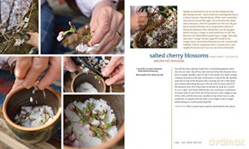 Preserving the Japanese Way: Traditions of Salting, Fermenting, and Pickling for the Modern Kitchen [KSIĄŻKA]