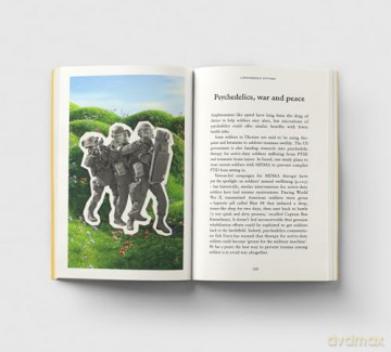 Psychedelics: A Pocket Primer [KSIĄŻKA]