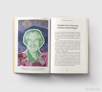 Psychedelics: A Pocket Primer [KSIĄŻKA]