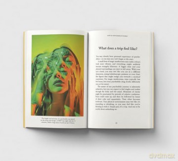 Psychedelics: A Pocket Primer [KSIĄŻKA]