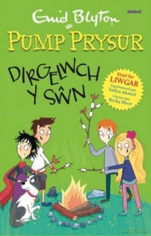 Pump Prysur: Dirgelwch y Swn [KSIĄŻKA]