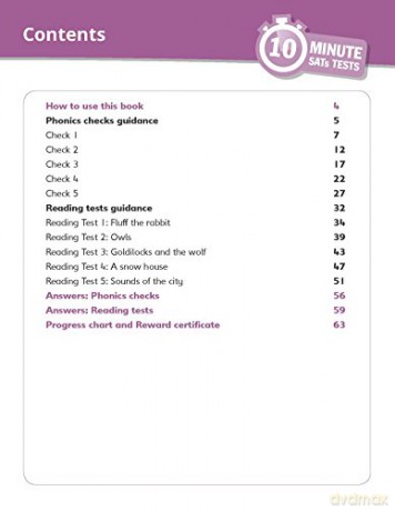 Quick test reading activities for children ages 5-6 [KSIĄŻKA]